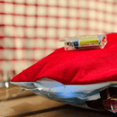 Almofadas com Luzes de LED – Kit 4 Unidades (43x43cm) | Casa Cuco