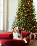 Árvore De Natal Com Micro LED Embutida